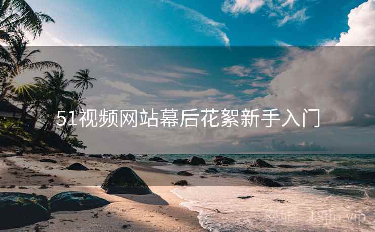51视频网站幕后花絮新手入门