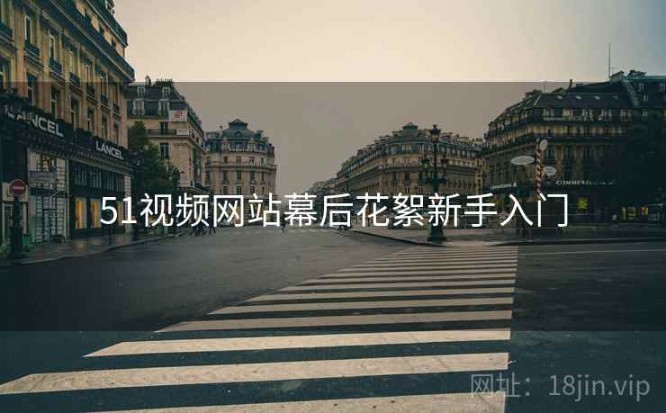 51视频网站幕后花絮新手入门