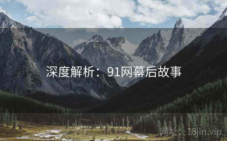 深度解析：91网幕后故事