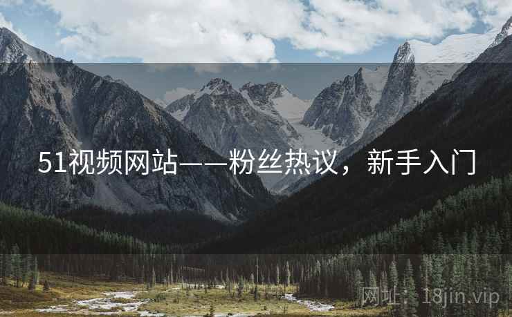 51视频网站——粉丝热议，新手入门