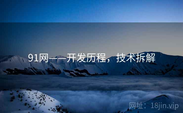 91网——开发历程，技术拆解