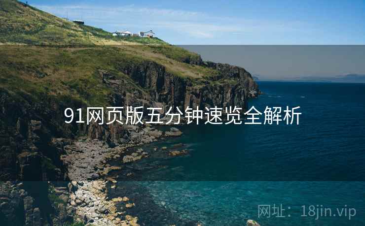 91网页版五分钟速览全解析