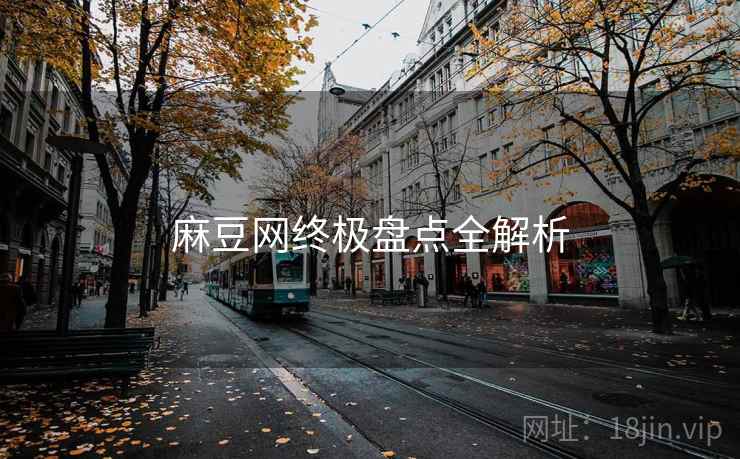 麻豆网终极盘点全解析