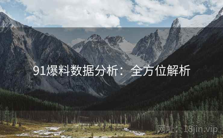 91爆料数据分析：全方位解析