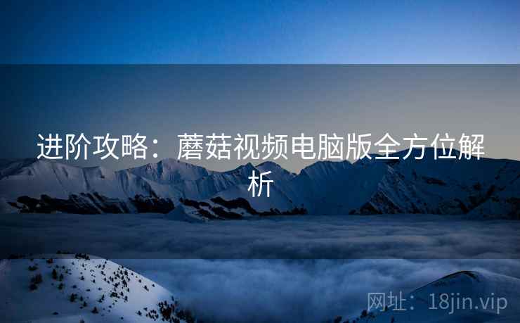 进阶攻略：蘑菇视频电脑版全方位解析