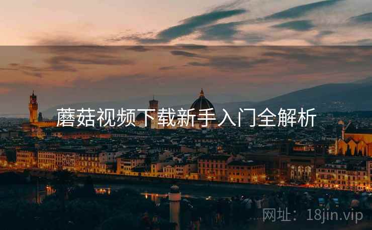 蘑菇视频下载新手入门全解析