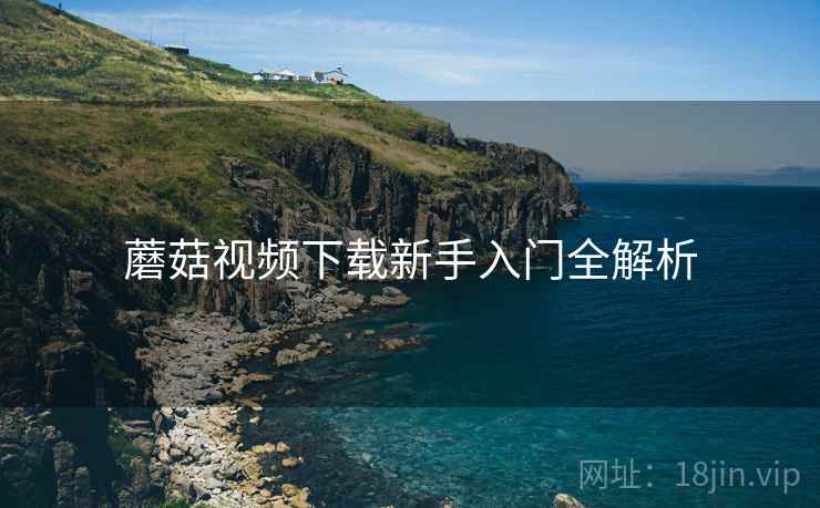 蘑菇视频下载新手入门全解析