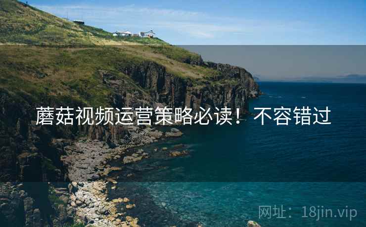 蘑菇视频运营策略必读！不容错过
