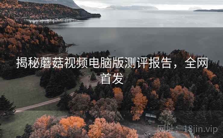 揭秘蘑菇视频电脑版测评报告，全网首发