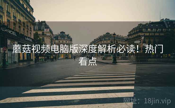 蘑菇视频电脑版深度解析必读！热门看点