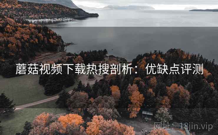 蘑菇视频下载热搜剖析：优缺点评测