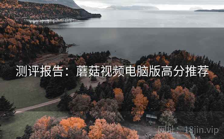 测评报告：蘑菇视频电脑版高分推荐