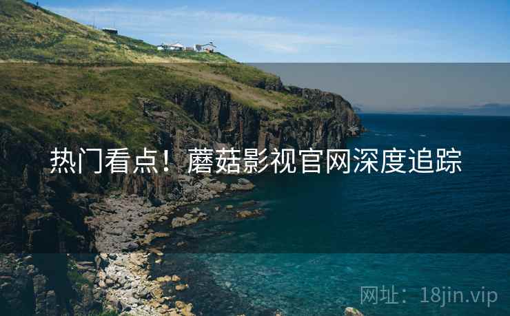 热门看点！蘑菇影视官网深度追踪