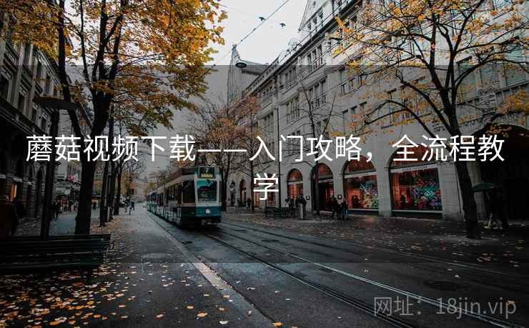 蘑菇视频下载——入门攻略，全流程教学