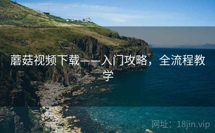 蘑菇视频下载——入门攻略，全流程教学