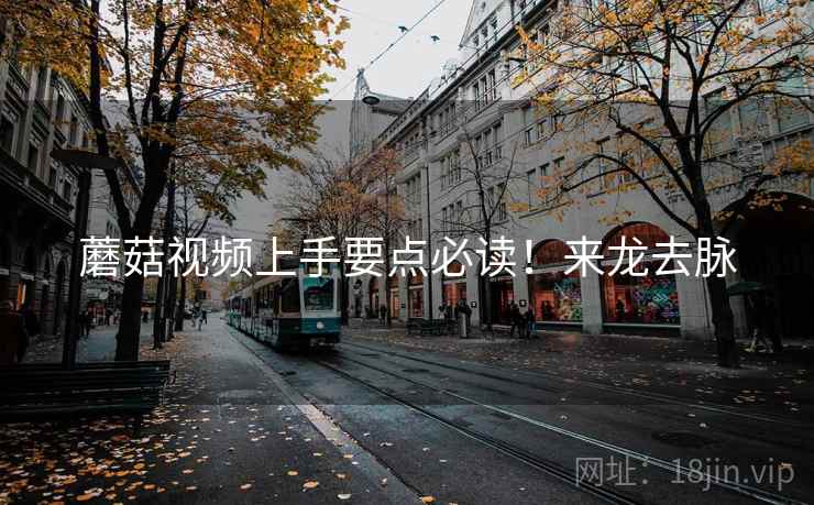 蘑菇视频上手要点必读！来龙去脉